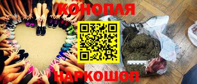 сатива Коммунар
