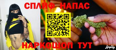 сатива Коммунар