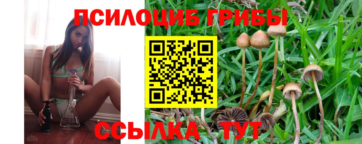 Галлюциногенные грибы мухоморы  закладки  Верхний Уфалей  Псилоцибиновые грибы Cubensis  Вход с VPN 